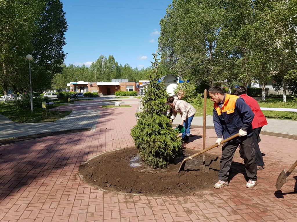 Уборка квартир в Ярославле